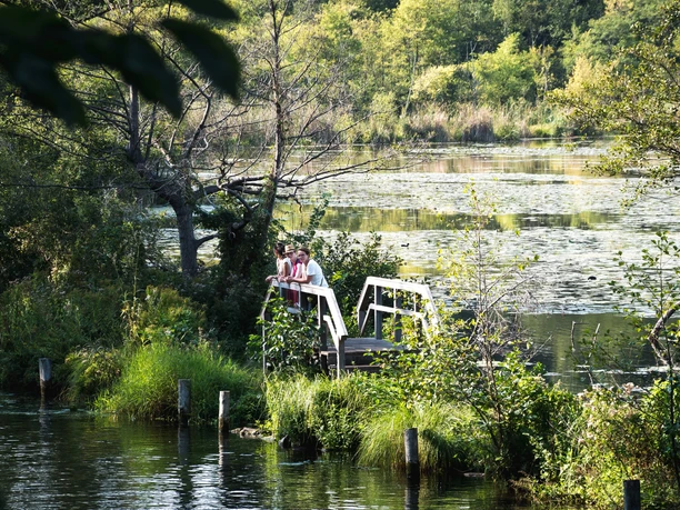 Verwunschenes Löcknitztal am Wupatzsee