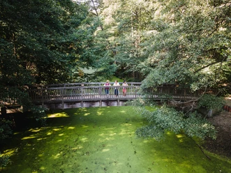 Verwunschenes Löcknitztal