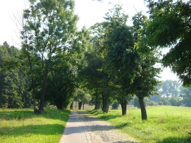 Oneway durch die Märkische Schweiz