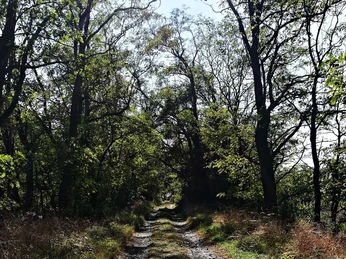 Der Kappan in Jüterbog