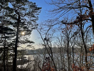 Blick vom Grunewald auf die Insel Schwanenwerder