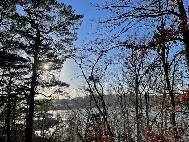 Blick vom Grunewald auf die Insel Schwanenwerder