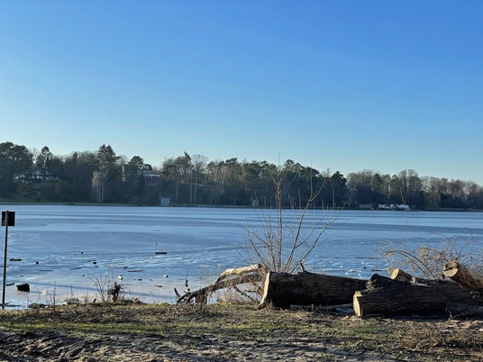 Blick auf die Insel Schwanenwerder