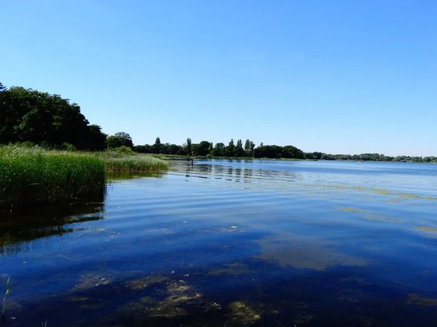 Blick auf den Hohennauener See