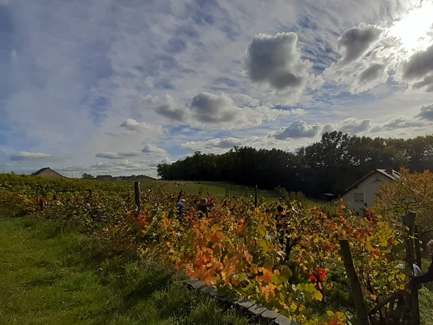 Weingut Familie Richter