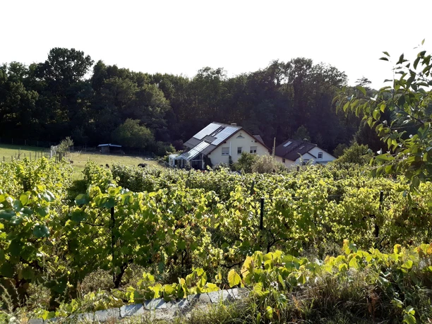 Weingut Familie Richter