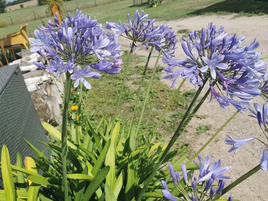 Garten des Bistorante zum Storchennest