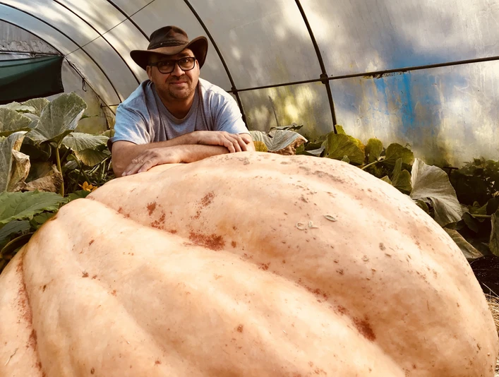 Kürbis-Olli Fürstenwalde