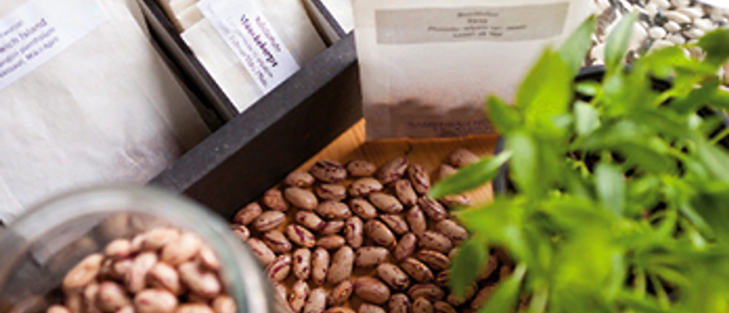 Saatgut- und Permakulturgarten Alt Rosenthal