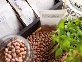 Saatgut- und Permakulturgarten Alt Rosenthal