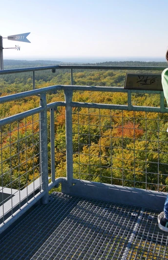 Aussicht vom Rauener Aussichtsturm