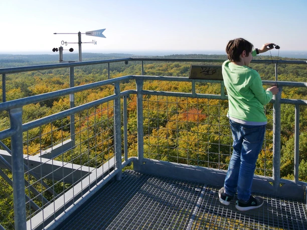 Aussicht vom Rauener Aussichtsturm