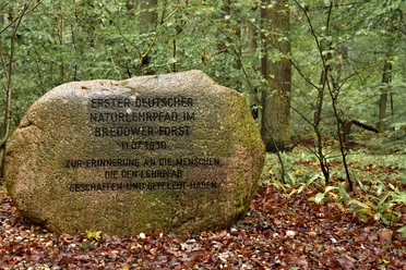Naturlehrpfad Bredower Forst