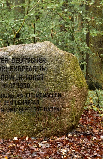 Naturlehrpfad Bredower Forst