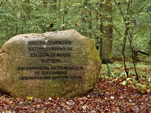 Naturlehrpfad Bredower Forst