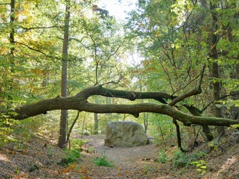 Markgrafensteine in den Rauener Bergen