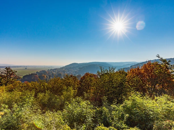 Blick von der Carlsburg