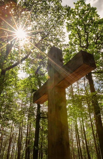 Watzmann Bad Freienwalde