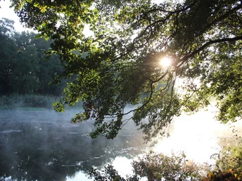 Spree bei Fürstenwalde