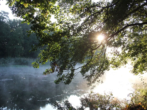 Spree bei Fürstenwalde