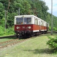 Buckower Kleinbahn