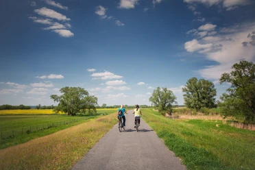 Radfahrer im Seenland Oder-Spree