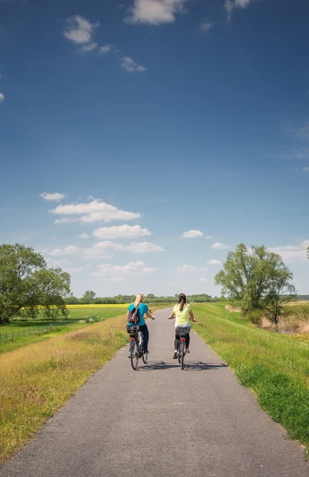 Radfahrer im Seenland Oder-Spree