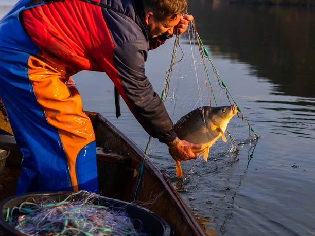 Olaf der Fischer mit Karpfen