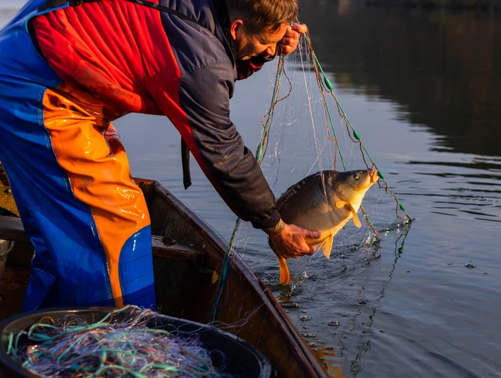 Olaf der Fischer mit Karpfen