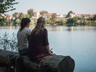 Straussee