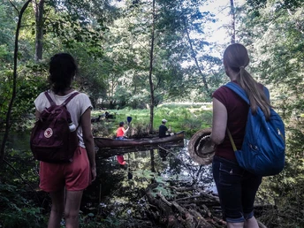 Kanu fahren im Löcknitztal
