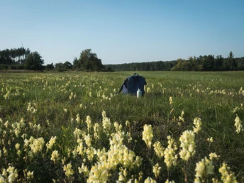 66-Seen-Wanderweg Pause bei Hangelsberg