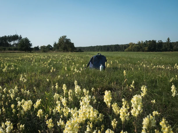 66-Seen-Wanderweg Pause bei Hangelsberg