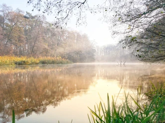Spree bei Fürstenwalde
