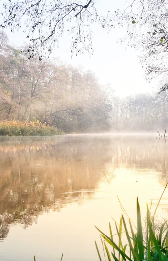 Spree bei Fürstenwalde