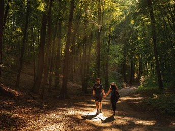Wandern bei Falkenberg