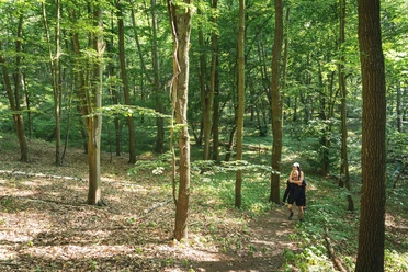 Wandern bei Falkenberg