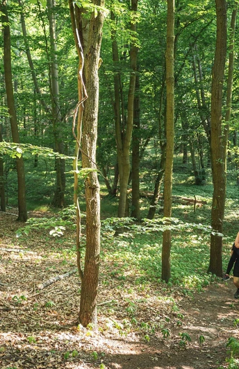 Wandern bei Falkenberg