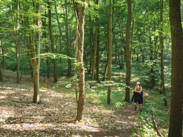 Wandern bei Falkenberg
