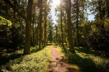 Arboretum