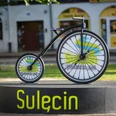 Sulecin, Stadt, Polen, Fahrrad