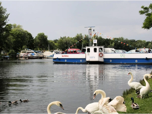 Seilfähre Caputh Tussy II