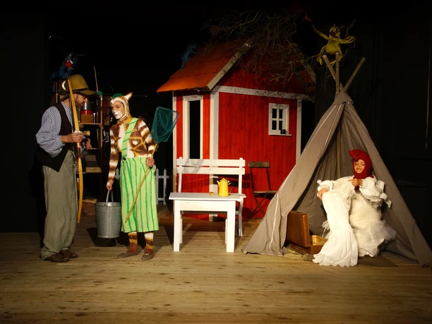 "Pettersson und Findus"