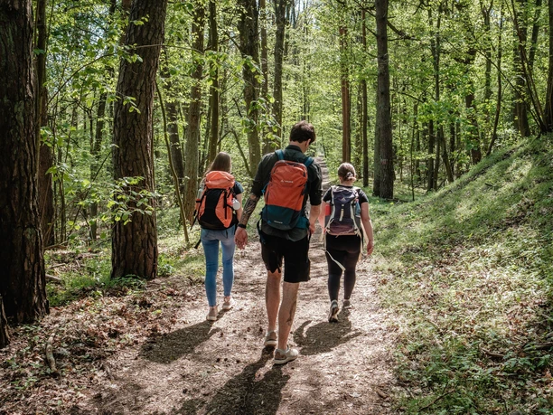 Wanderung Lange Dammwiesen