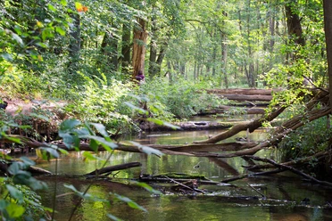 Naturparkroute Märkische Schweiz