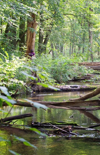 Naturparkroute Märkische Schweiz