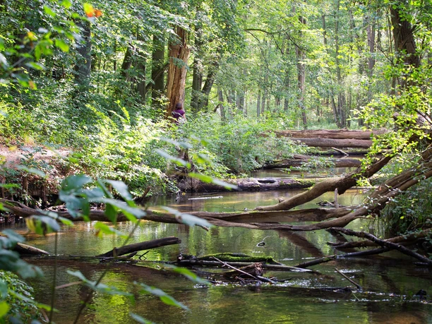 Naturparkroute Märkische Schweiz
