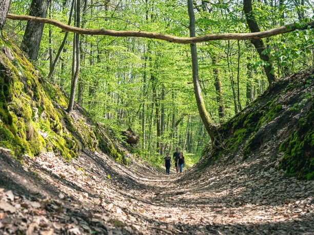 Gamengrund, 66-Seen-Wanderweg