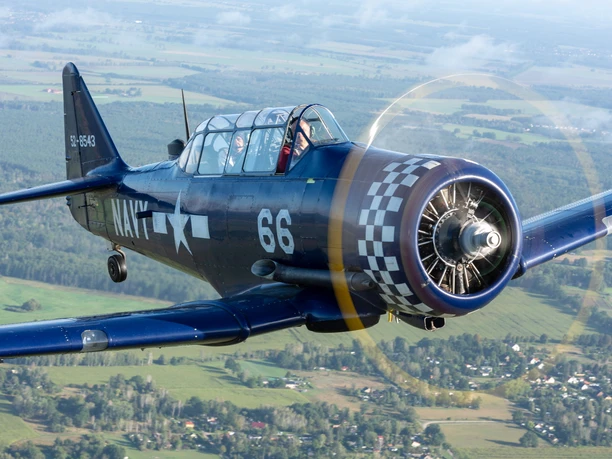 Flugplatz Bienenfarm DFSIX