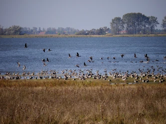 Naturlehrpfad am Gülper See